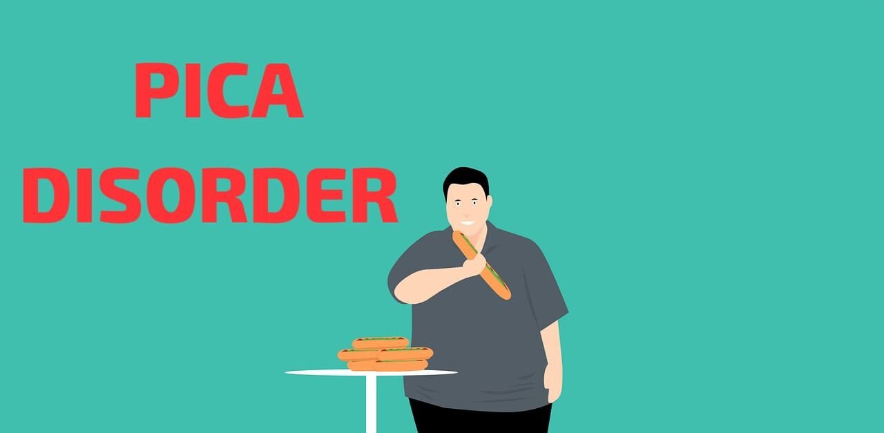 Pica disorder in adults